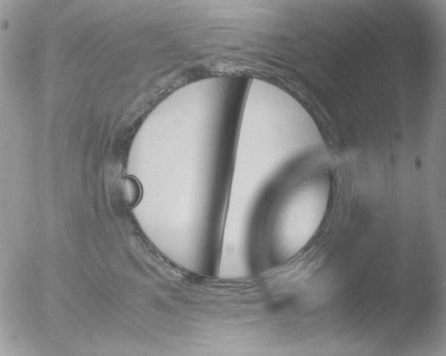 X0000051910521200507152034