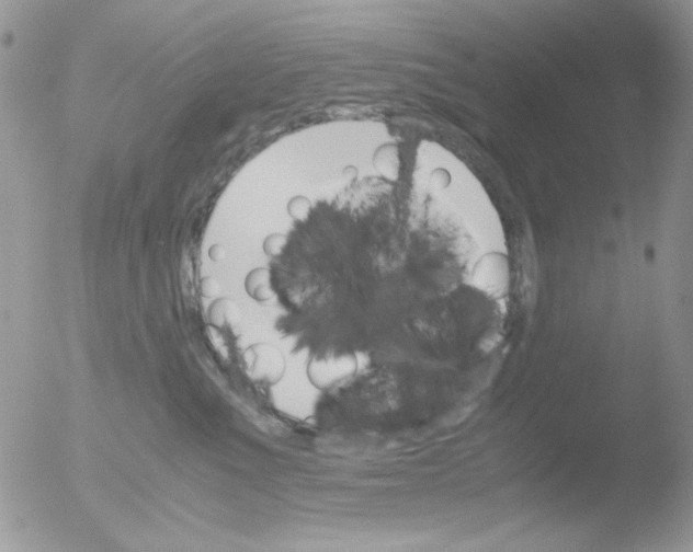 X0000051910523200507152034