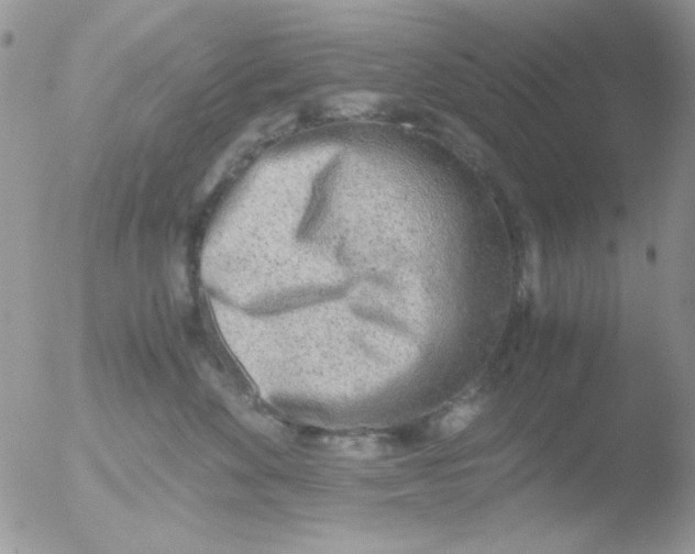 X0000051910524200507152034