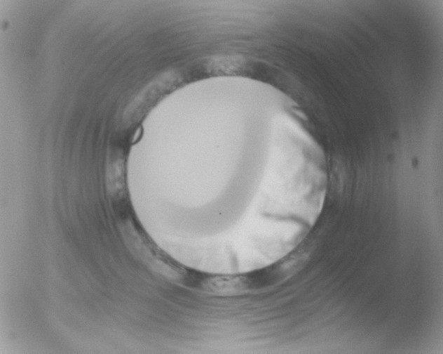 X0000051910526200507152034