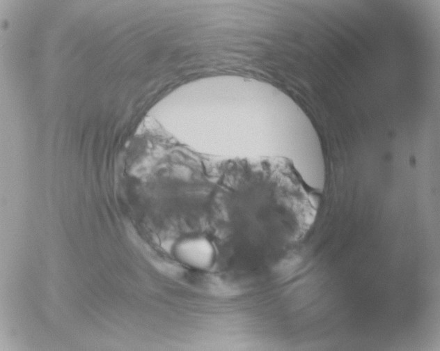 X0000051910527200507152034