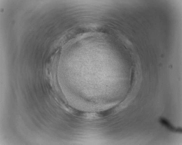 X0000051910528200507152034