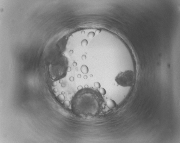 X0000051910529200507152033