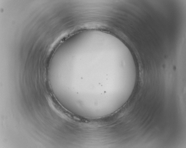 X0000051910530200507152033