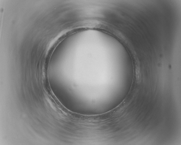 X0000051910532200507152033