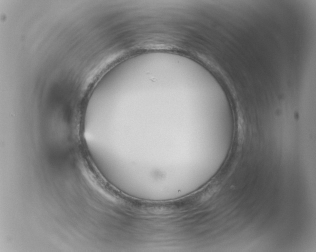 X0000051910533200507152033