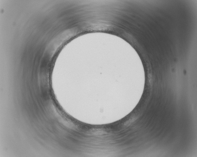 X0000051910534200507152033