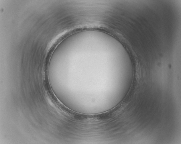 X0000051910536200507152033