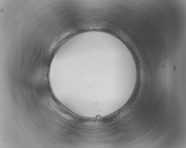 X0000051910537200507152033