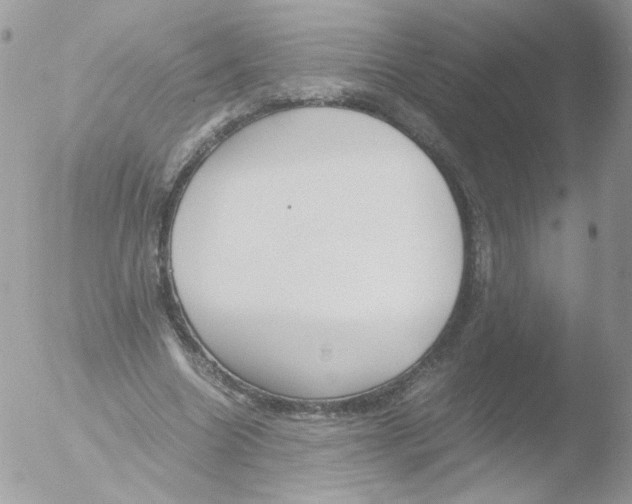 X0000051910538200507152033