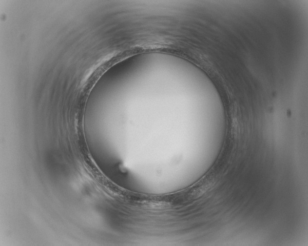 X0000051910539200507152033