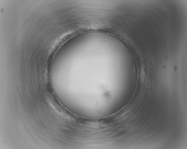 X0000051910540200507152033