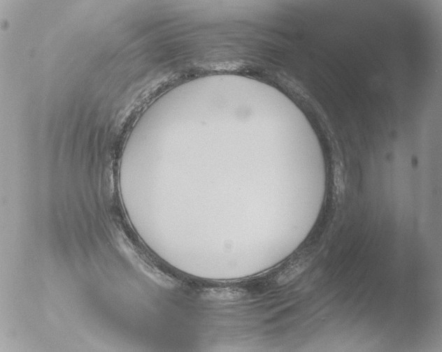 X0000051910541200507152033