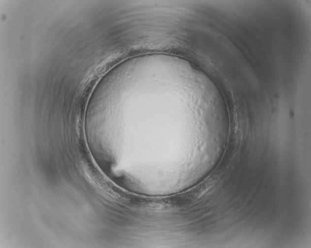 X0000051910542200507152033