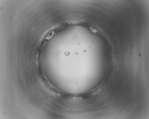 X0000051910543200507152033