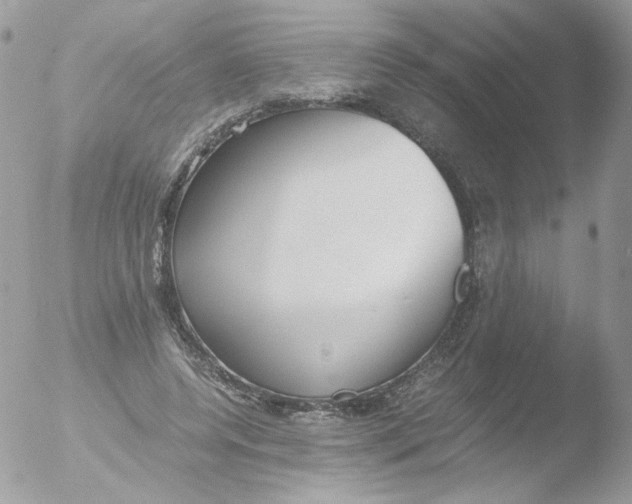 X0000051910544200507152033