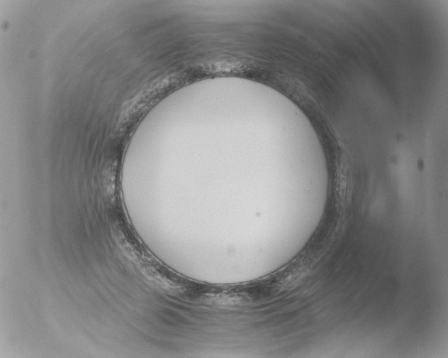 X0000051910545200507152033