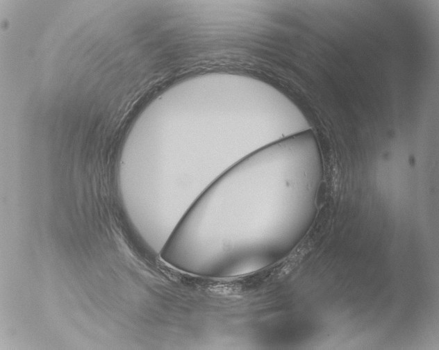 X0000051910546200507152033