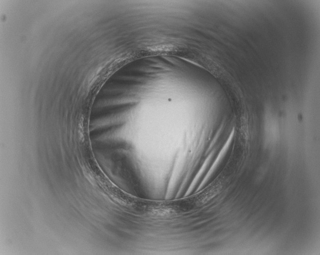 X0000051910547200507152033