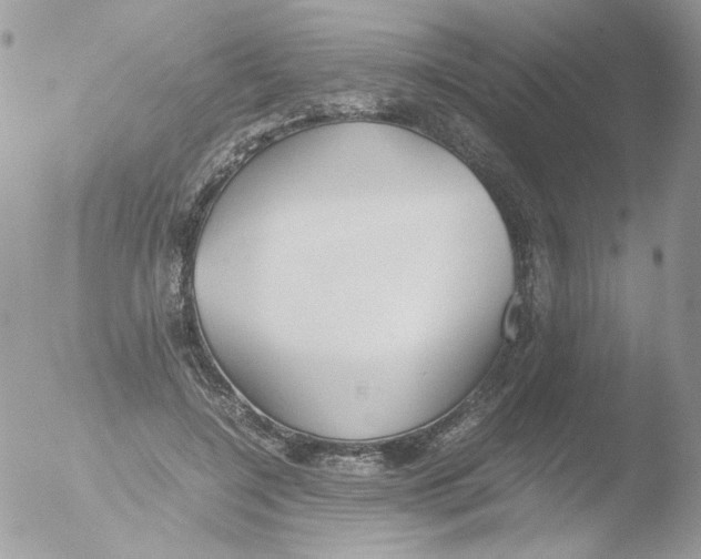 X0000051910548200507152033