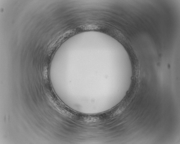 X0000051910549200507152034