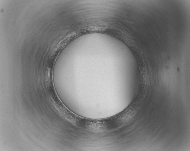 X0000051910550200507152034