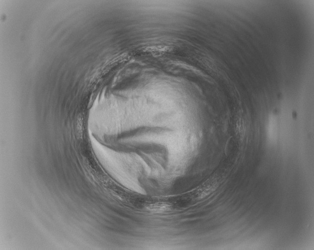 X0000051910551200507152034