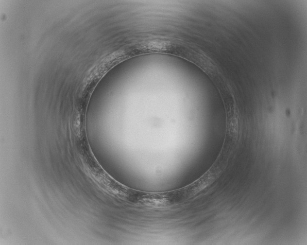 X0000051910552200507152034