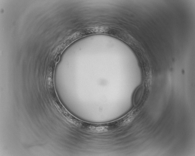 X0000051910553200507152034