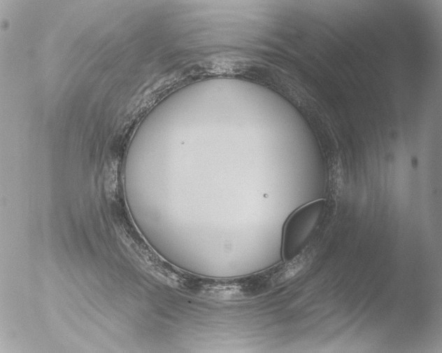 X0000051910554200507152034