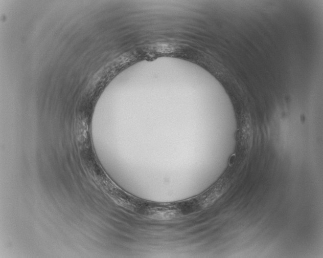 X0000051910555200507152034