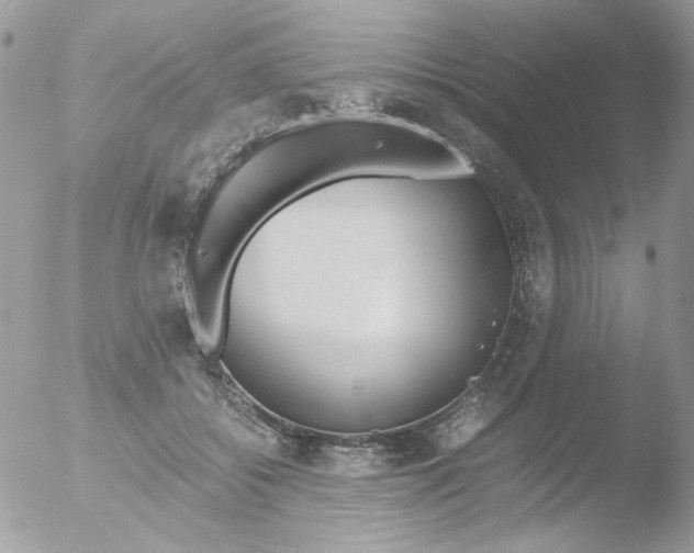 X0000051910556200507152034