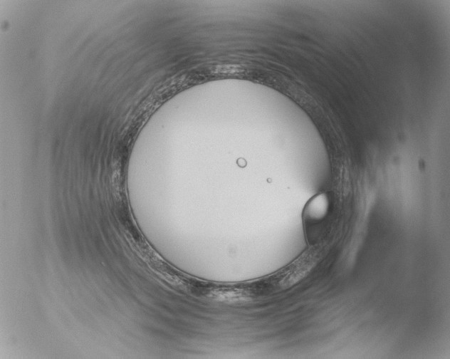 X0000051910557200507152034