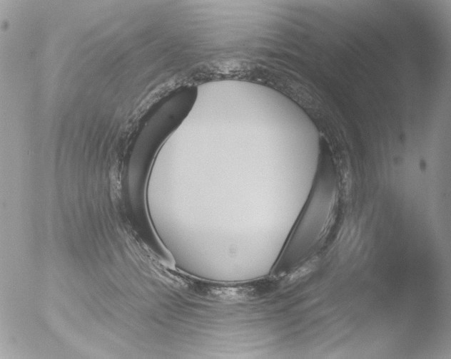 X0000051910558200507152034