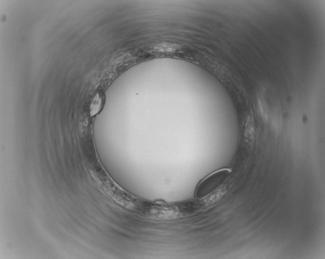 X0000051910559200507152034