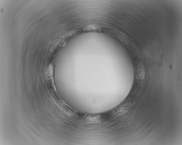 X0000051910560200507152034