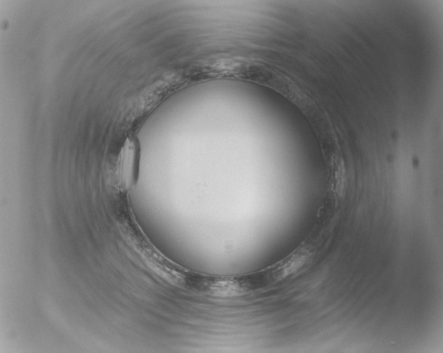 X0000051910562200507152034