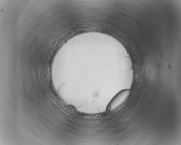 X0000051910563200507152034