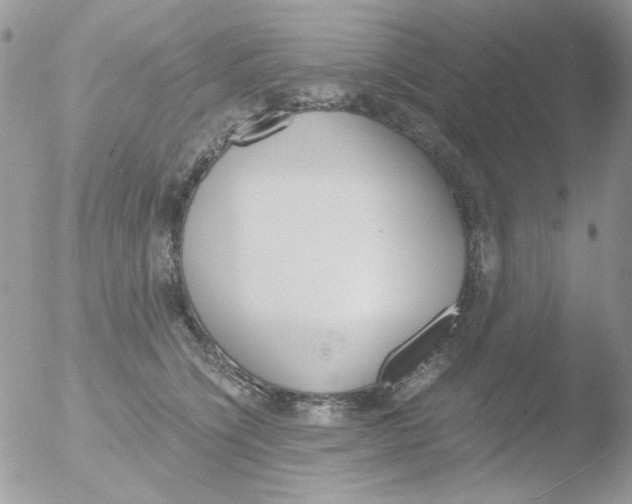 X0000051910564200507152034