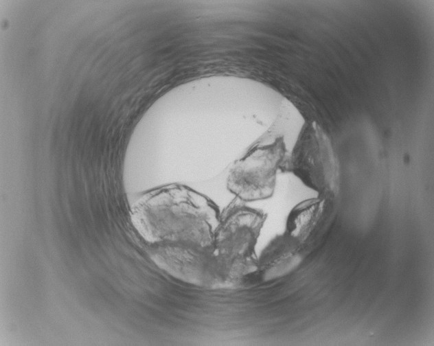 X0000051910565200507152034