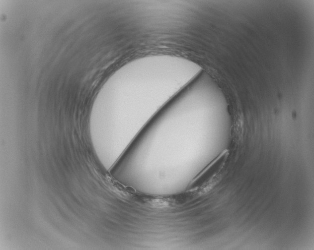 X0000051910566200507152034