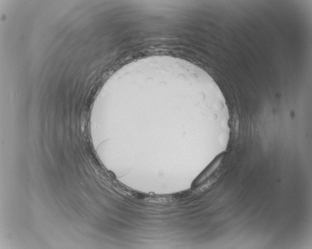 X0000051910567200507152034