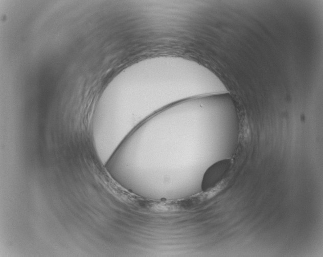 X0000051910568200507152034