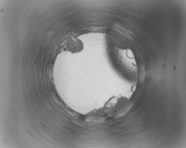 X0000051910569200507152034