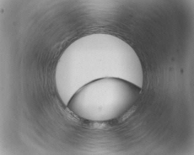 X0000051910570200507152034