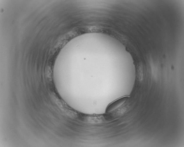 X0000051910571200507152034