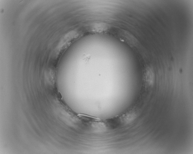 X0000051910572200507152034