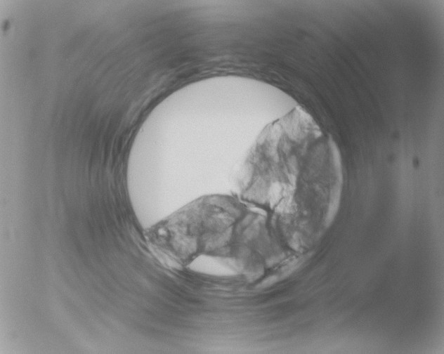 X0000051910573200507152034