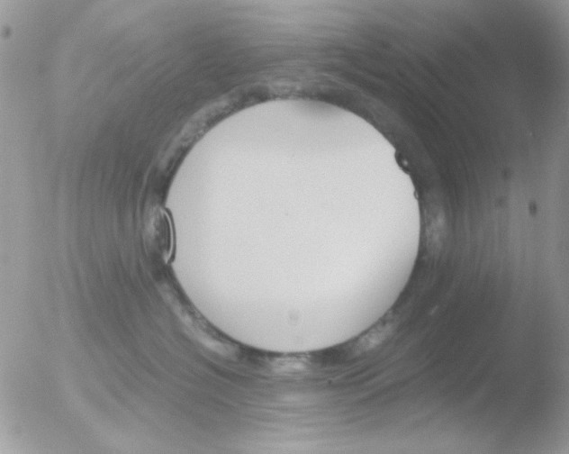 X0000051910574200507152034