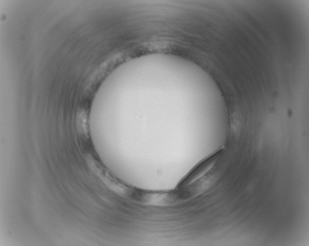 X0000051910575200507152034